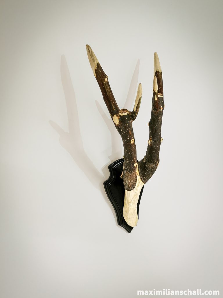 Picture of the artwork “Vegan Antlers” by Maximilian Schall